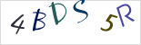 captcha.alt