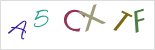 captcha.alt